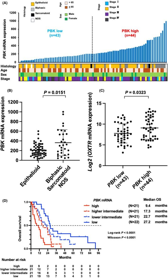 https://cdn.ncbi.nlm.nih.gov/pmc/blobs/df27/12400060/ce3abe94d9d6/CAS-116-2413-g001.jpg