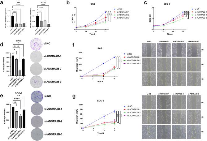 https://cdn.ncbi.nlm.nih.gov/pmc/blobs/df29/11992813/fcbab329d727/12885_2025_14102_Fig11_HTML.jpg