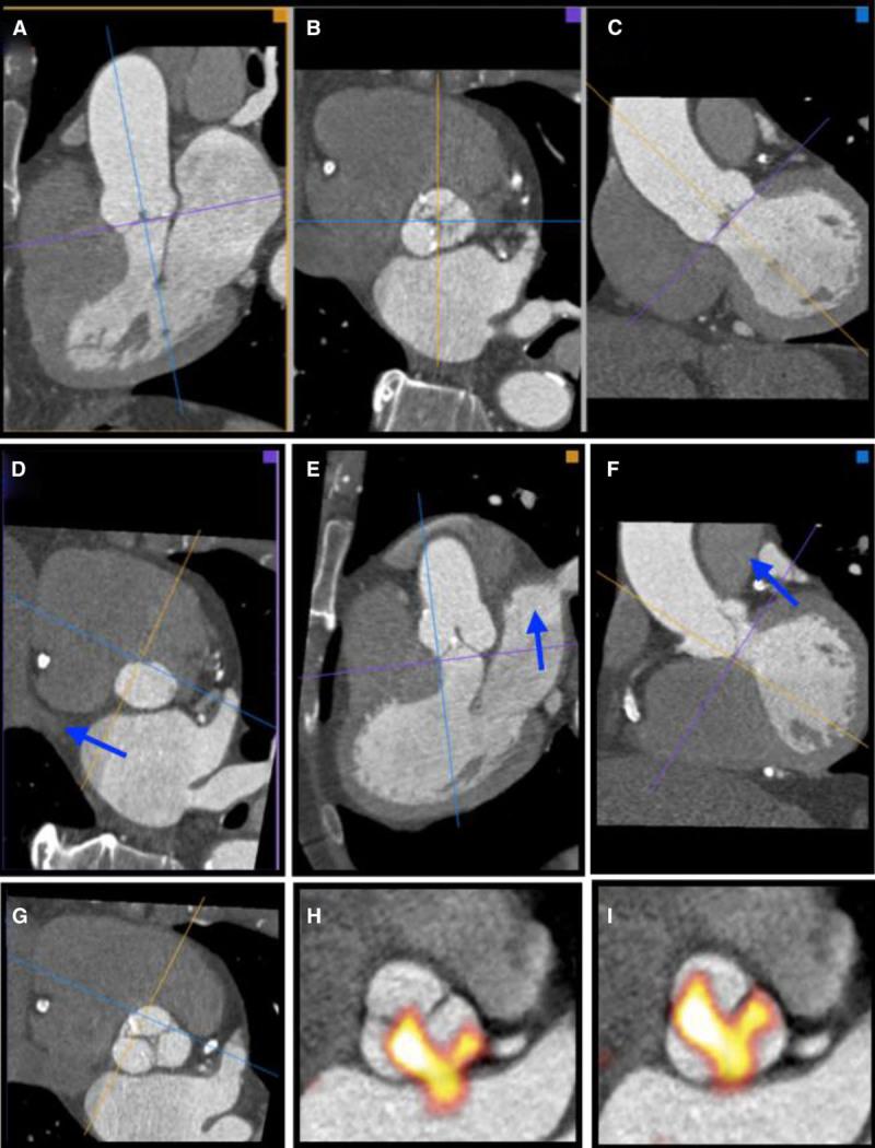 https://cdn.ncbi.nlm.nih.gov/pmc/blobs/df29/5068186/89e0d37de881/hci-9-e005131-g001.jpg