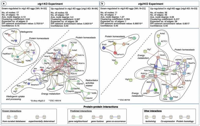 https://cdn.ncbi.nlm.nih.gov/pmc/blobs/df2a/8082894/de7cfeb44240/12864_2021_7606_Fig5_HTML.jpg