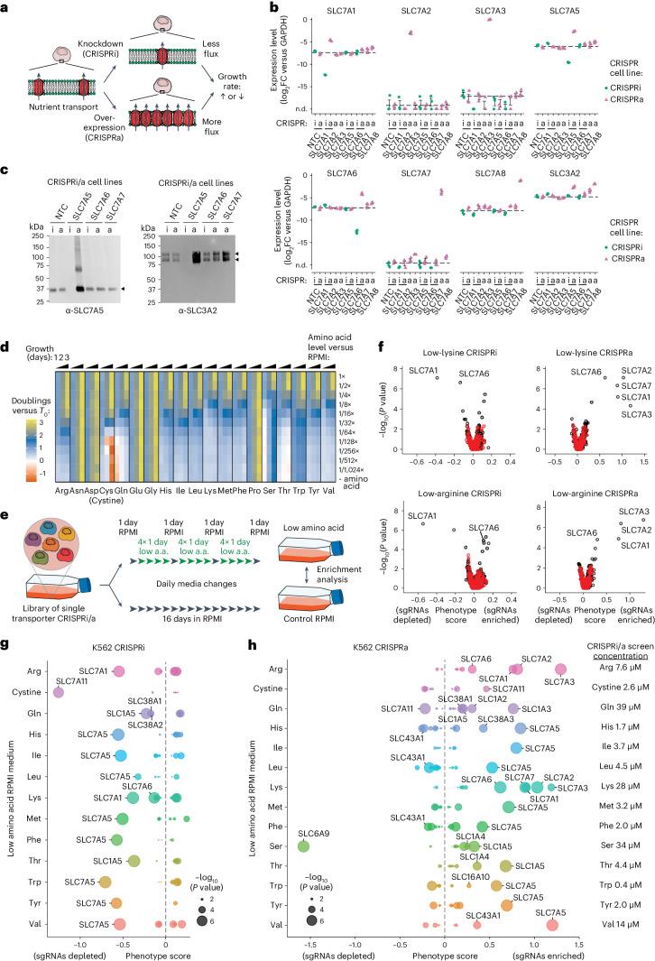 https://cdn.ncbi.nlm.nih.gov/pmc/blobs/df2b/11098743/3781fc2d0b63/41556_2024_1402_Fig1_HTML.jpg