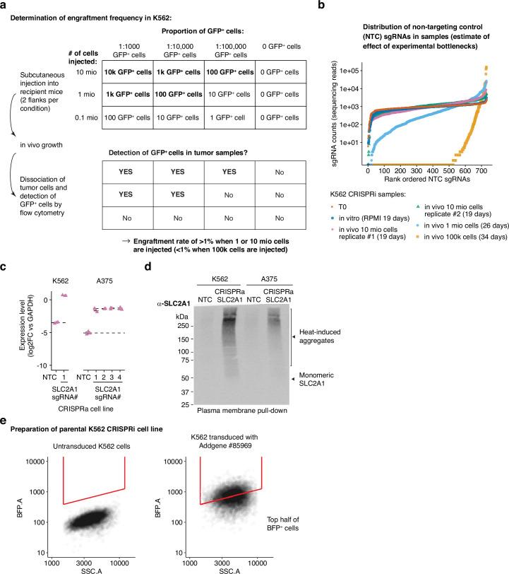 https://cdn.ncbi.nlm.nih.gov/pmc/blobs/df2b/11098743/753672c6d97c/41556_2024_1402_Fig14_ESM.jpg