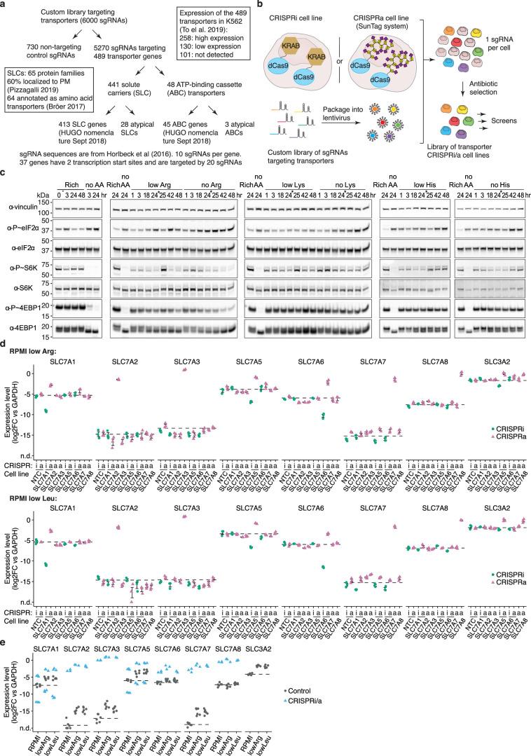 https://cdn.ncbi.nlm.nih.gov/pmc/blobs/df2b/11098743/c74e1a73084c/41556_2024_1402_Fig7_ESM.jpg