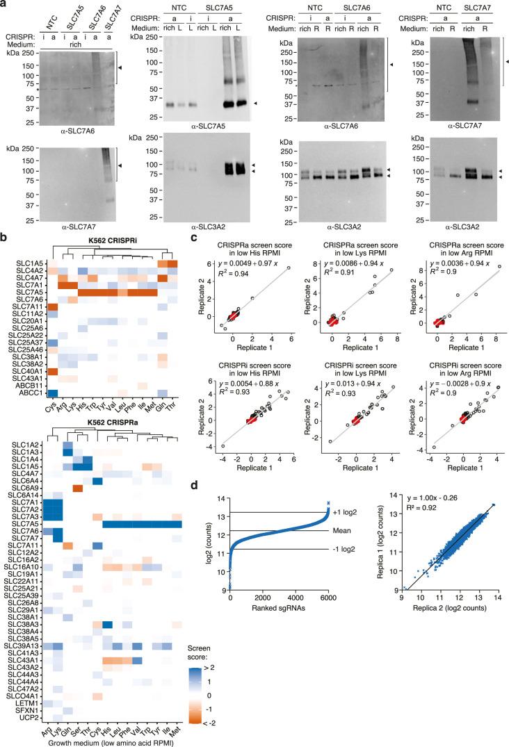 https://cdn.ncbi.nlm.nih.gov/pmc/blobs/df2b/11098743/f8dc7bc2b932/41556_2024_1402_Fig8_ESM.jpg