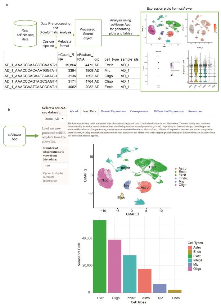 https://cdn.ncbi.nlm.nih.gov/pmc/blobs/df2c/10253102/0f9a495923f6/cells-12-01489-g001.jpg