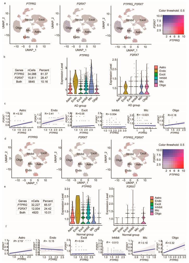 https://cdn.ncbi.nlm.nih.gov/pmc/blobs/df2c/10253102/a5cd0199a622/cells-12-01489-g003.jpg