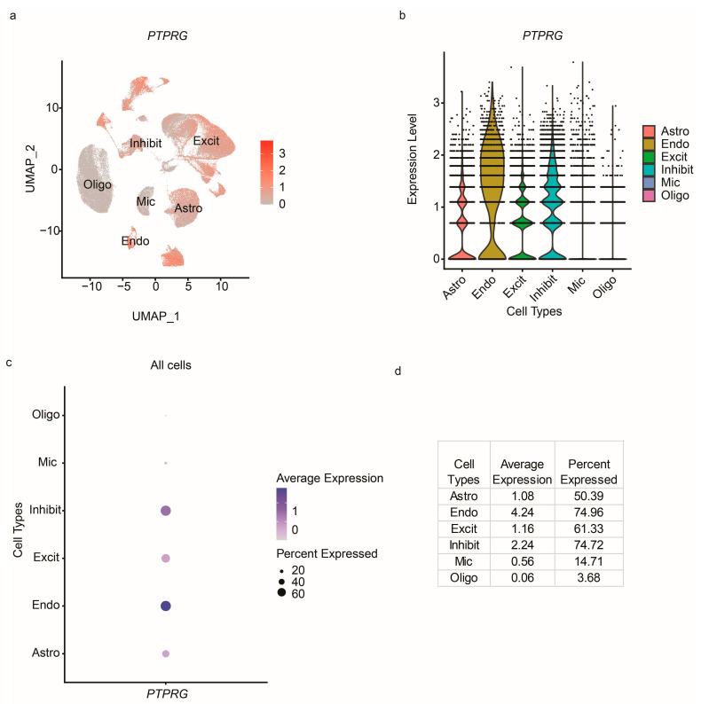 https://cdn.ncbi.nlm.nih.gov/pmc/blobs/df2c/10253102/d0a6aee18019/cells-12-01489-g002.jpg
