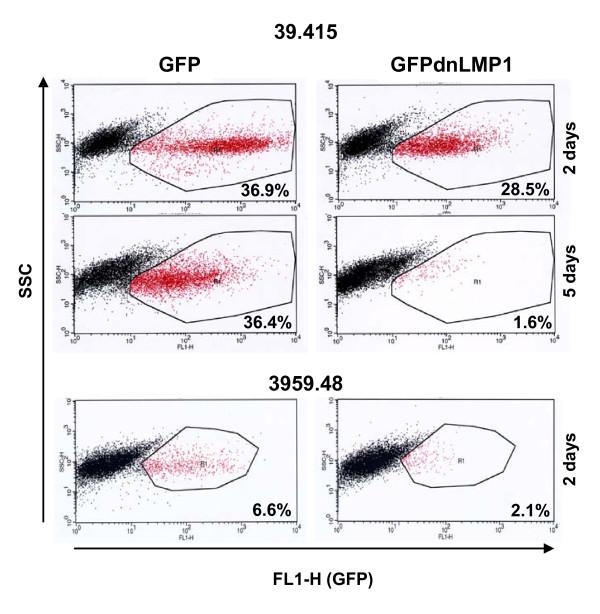 https://cdn.ncbi.nlm.nih.gov/pmc/blobs/df2f/2913984/b37ca1cb61ea/1476-4598-9-184-6.jpg