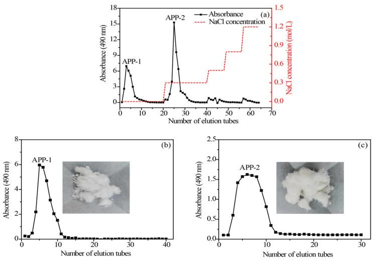 https://cdn.ncbi.nlm.nih.gov/pmc/blobs/df30/11477882/4ad9cb48e928/molecules-29-04645-g004.jpg