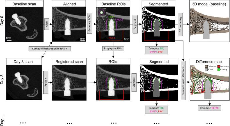 https://cdn.ncbi.nlm.nih.gov/pmc/blobs/df30/7708479/47f3876edf77/41598_2020_77770_Fig1_HTML.jpg