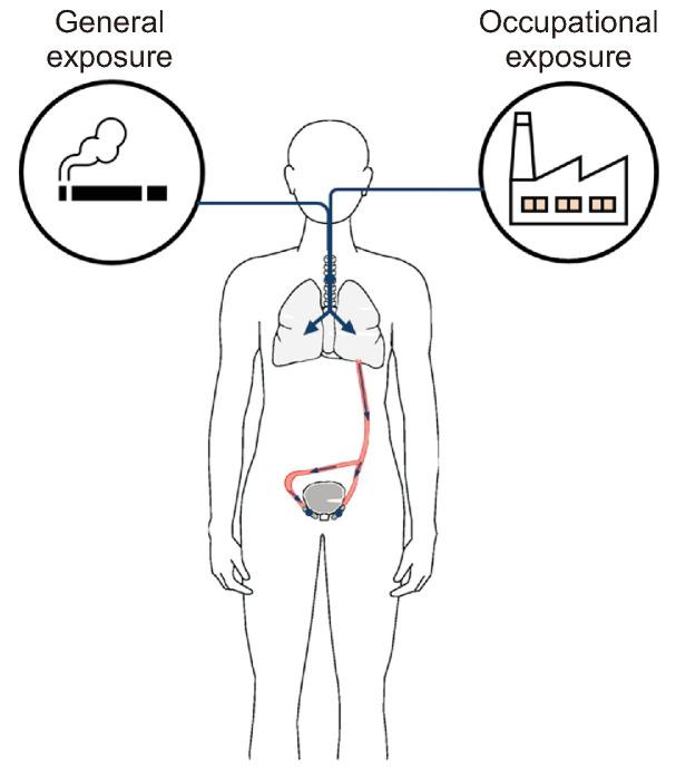 https://cdn.ncbi.nlm.nih.gov/pmc/blobs/df32/10774485/e2d091195be6/jcp-28-4-150-f1.jpg