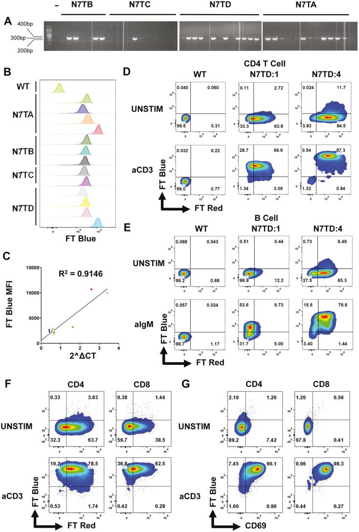 https://cdn.ncbi.nlm.nih.gov/pmc/blobs/df32/10917201/5a72447a8d44/kyac009_fig1.jpg