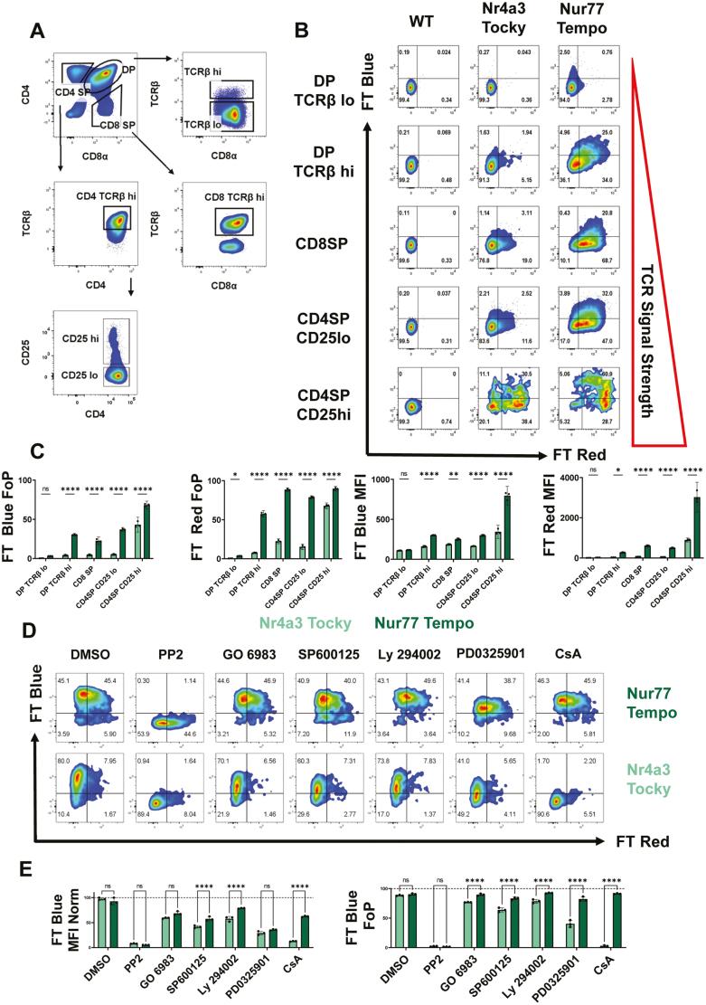 https://cdn.ncbi.nlm.nih.gov/pmc/blobs/df32/10917201/914c87ea5890/kyac009_fig2.jpg