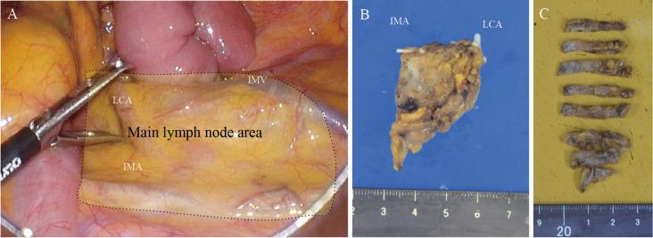 https://cdn.ncbi.nlm.nih.gov/pmc/blobs/df32/11513429/868d12648f57/2432-3853-8-0316-g001.jpg