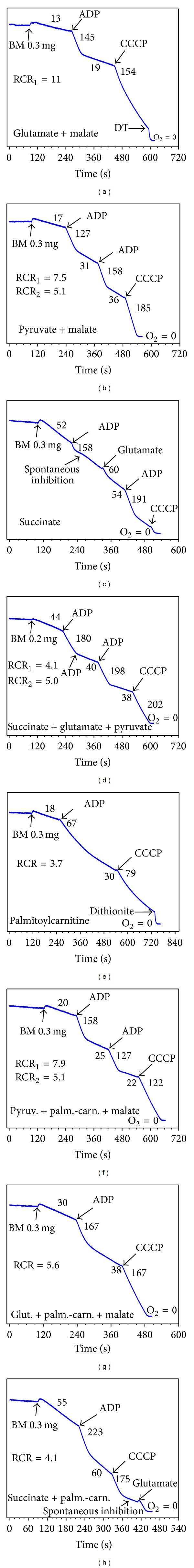 https://cdn.ncbi.nlm.nih.gov/pmc/blobs/df36/4026875/5e06cb3c8ab5/BMRI2014-472459.011.jpg