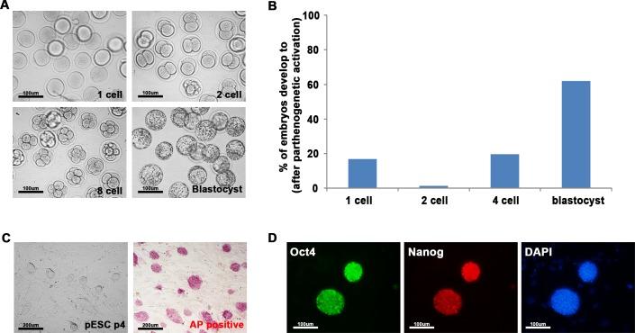 https://cdn.ncbi.nlm.nih.gov/pmc/blobs/df37/4883797/56e72112632f/pone.0156491.g001.jpg
