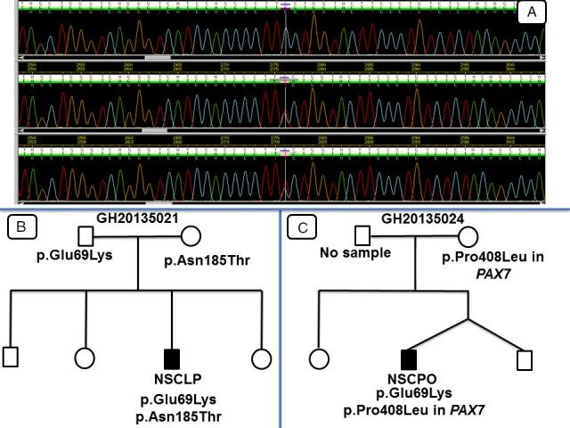 https://cdn.ncbi.nlm.nih.gov/pmc/blobs/df38/5370218/26166e66e109/MGG3-5-164-g002.jpg