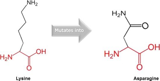 https://cdn.ncbi.nlm.nih.gov/pmc/blobs/df38/5370218/40fdeda7b932/MGG3-5-164-g005.jpg