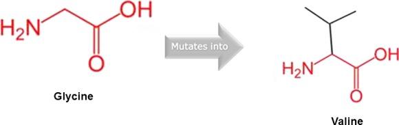 https://cdn.ncbi.nlm.nih.gov/pmc/blobs/df38/5370218/d99f0b6b68cc/MGG3-5-164-g004.jpg