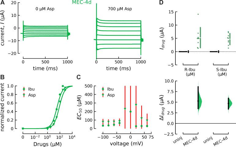 https://cdn.ncbi.nlm.nih.gov/pmc/blobs/df3b/7933985/becf2c5db2a9/JGP_202012655_Fig6.jpg