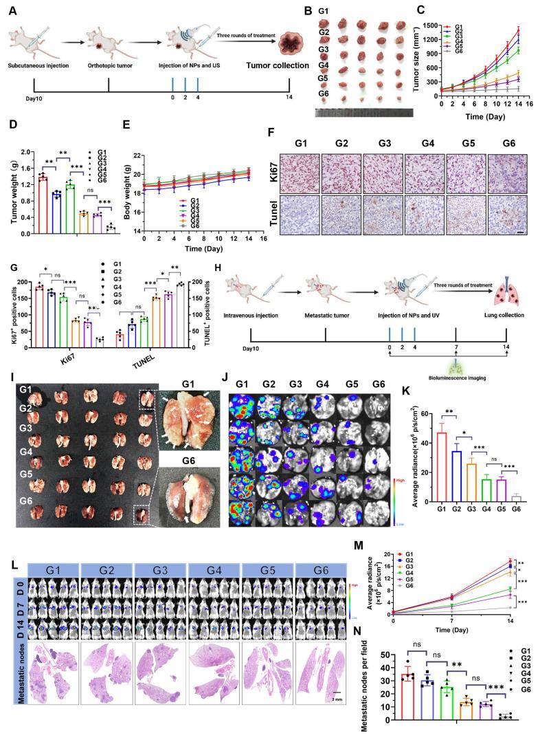 https://cdn.ncbi.nlm.nih.gov/pmc/blobs/df3c/12374548/55fe7b811322/thnov15p7973g007.jpg