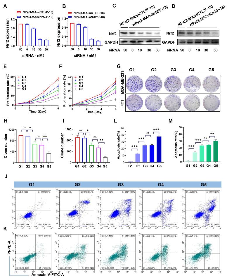 https://cdn.ncbi.nlm.nih.gov/pmc/blobs/df3c/12374548/58825fe1ddb9/thnov15p7973g003.jpg
