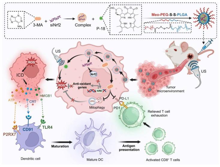 https://cdn.ncbi.nlm.nih.gov/pmc/blobs/df3c/12374548/6395577bbe1a/thnov15p7973g001.jpg