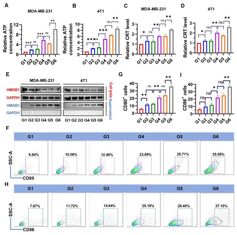 https://cdn.ncbi.nlm.nih.gov/pmc/blobs/df3c/12374548/a79bd6d674b0/thnov15p7973g005.jpg