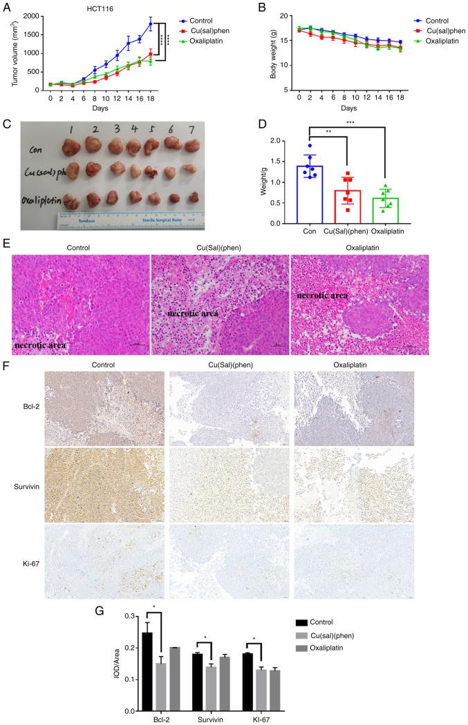 https://cdn.ncbi.nlm.nih.gov/pmc/blobs/df3d/10394729/943609aee864/or-50-03-08607-g04.jpg