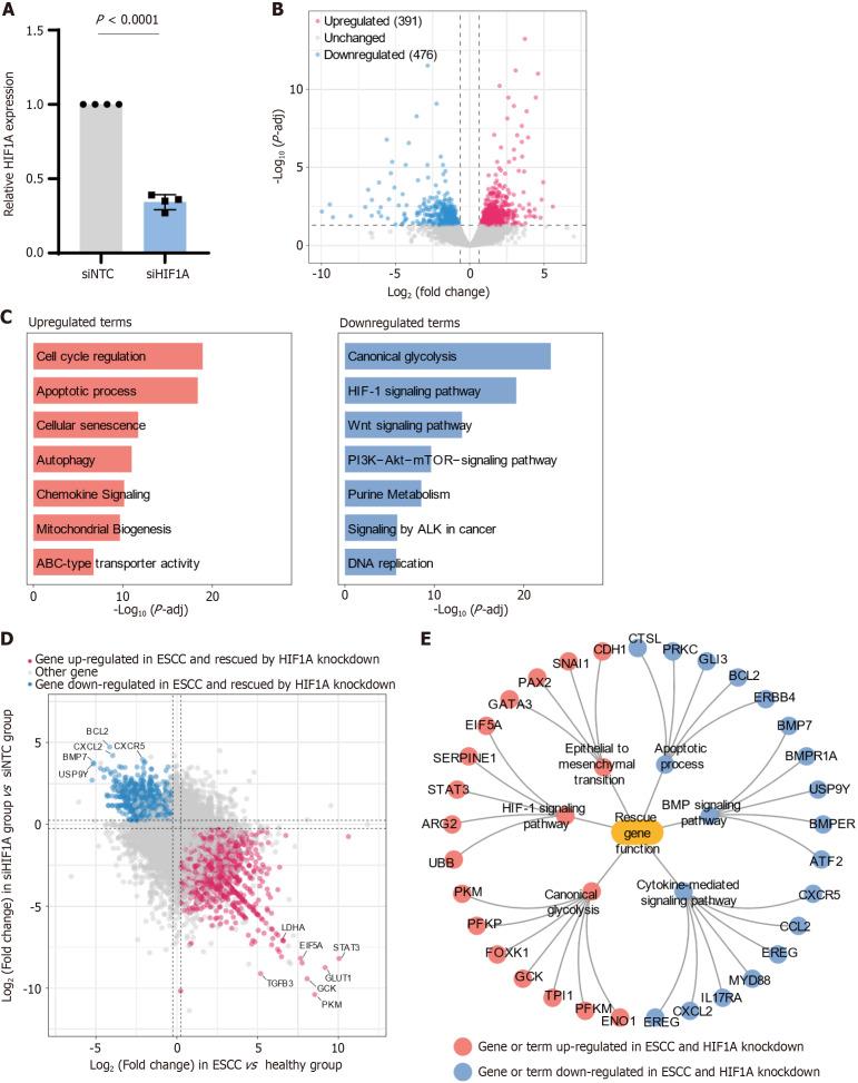 https://cdn.ncbi.nlm.nih.gov/pmc/blobs/df3d/11866222/4db20c6980bc/103450-g003.jpg