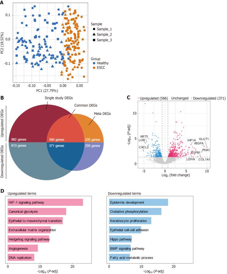 https://cdn.ncbi.nlm.nih.gov/pmc/blobs/df3d/11866222/e8d5c943378c/103450-g001.jpg