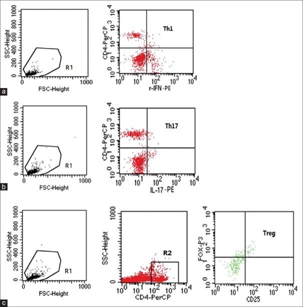 https://cdn.ncbi.nlm.nih.gov/pmc/blobs/df3d/5634078/bc72ad6e967d/CMJ-130-2296-g001.jpg