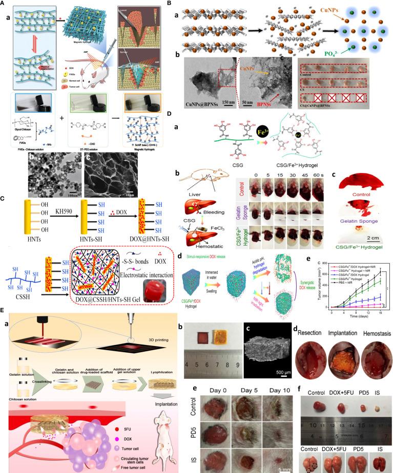 https://cdn.ncbi.nlm.nih.gov/pmc/blobs/df3f/9751059/511b964e546c/fonc-12-1054029-g012.jpg