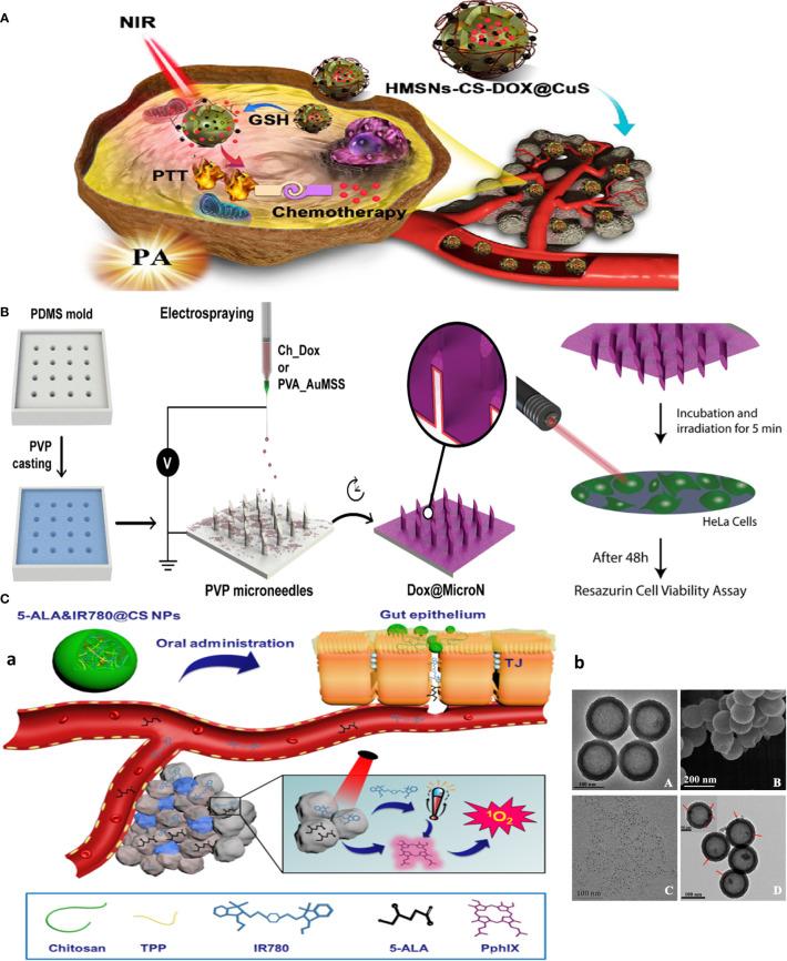 https://cdn.ncbi.nlm.nih.gov/pmc/blobs/df3f/9751059/9302b25f5d24/fonc-12-1054029-g003.jpg