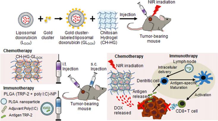 https://cdn.ncbi.nlm.nih.gov/pmc/blobs/df3f/9751059/bdd2ee54a18d/fonc-12-1054029-g011.jpg