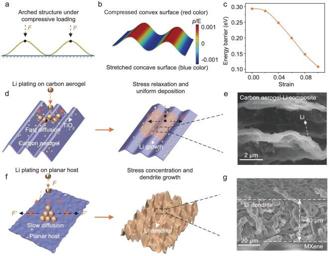 https://cdn.ncbi.nlm.nih.gov/pmc/blobs/df40/12416278/12426775f1e9/nwaf305fig1.jpg