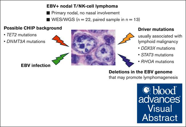 https://cdn.ncbi.nlm.nih.gov/pmc/blobs/df42/11068532/68f9aeaa734b/BLOODA_ADV-2023-012019-ga1.jpg