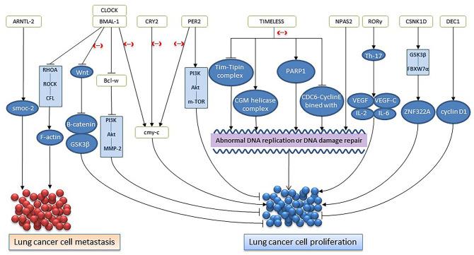https://cdn.ncbi.nlm.nih.gov/pmc/blobs/df44/9121494/47090158d96b/10.1177_15347354221096080-fig2.jpg