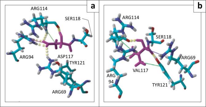 https://cdn.ncbi.nlm.nih.gov/pmc/blobs/df45/12224033/26714e6237aa/JPHIA-16-1348-g006.jpg