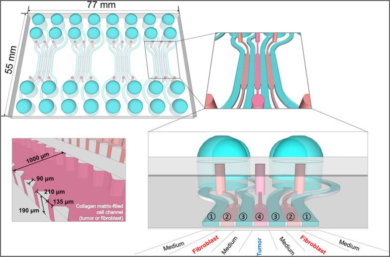 https://cdn.ncbi.nlm.nih.gov/pmc/blobs/df48/10789053/009567d43fc2/12929_2024_994_Fig5_HTML.jpg