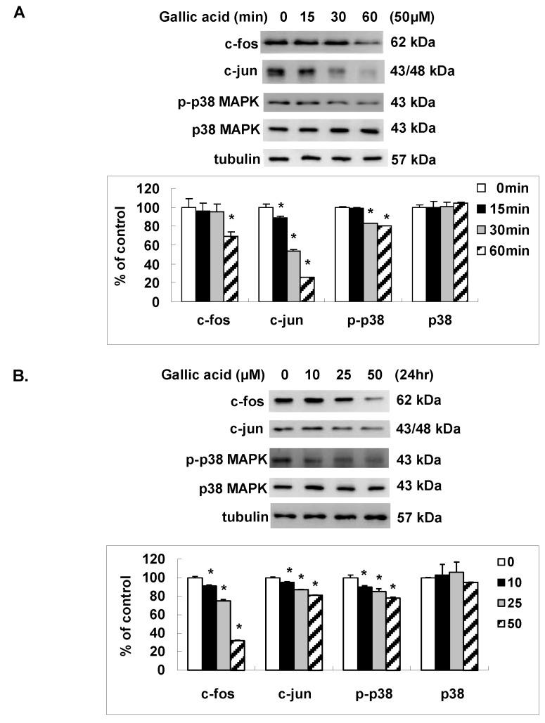 https://cdn.ncbi.nlm.nih.gov/pmc/blobs/df48/5535847/5b7d903d9c91/ijms-18-01354-g004.jpg
