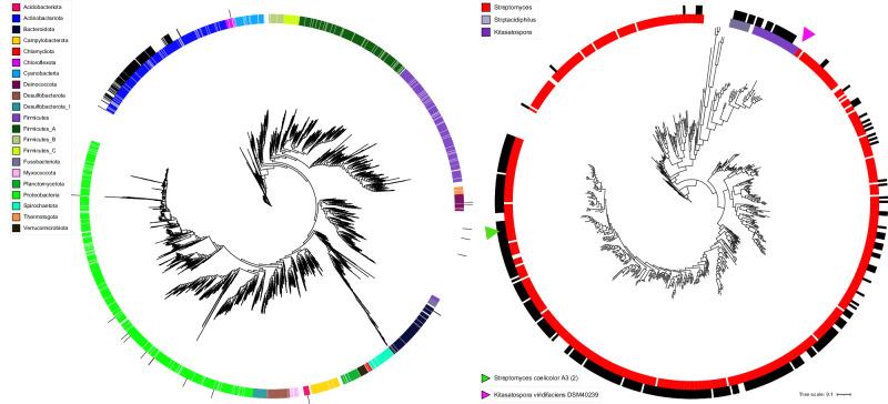 https://cdn.ncbi.nlm.nih.gov/pmc/blobs/df4a/11920096/ddd61640f8c9/41467_2025_58093_Fig5_HTML.jpg