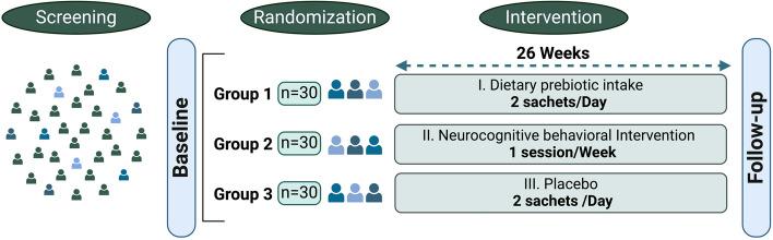 https://cdn.ncbi.nlm.nih.gov/pmc/blobs/df4b/11727427/5074961ae5ff/40795_2024_971_Fig1_HTML.jpg