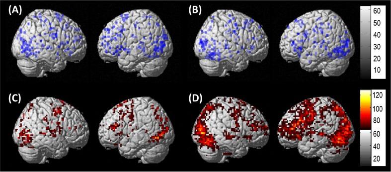 https://cdn.ncbi.nlm.nih.gov/pmc/blobs/df4c/4792868/73c1d8c31cb6/fnhum-10-00109-g005.jpg