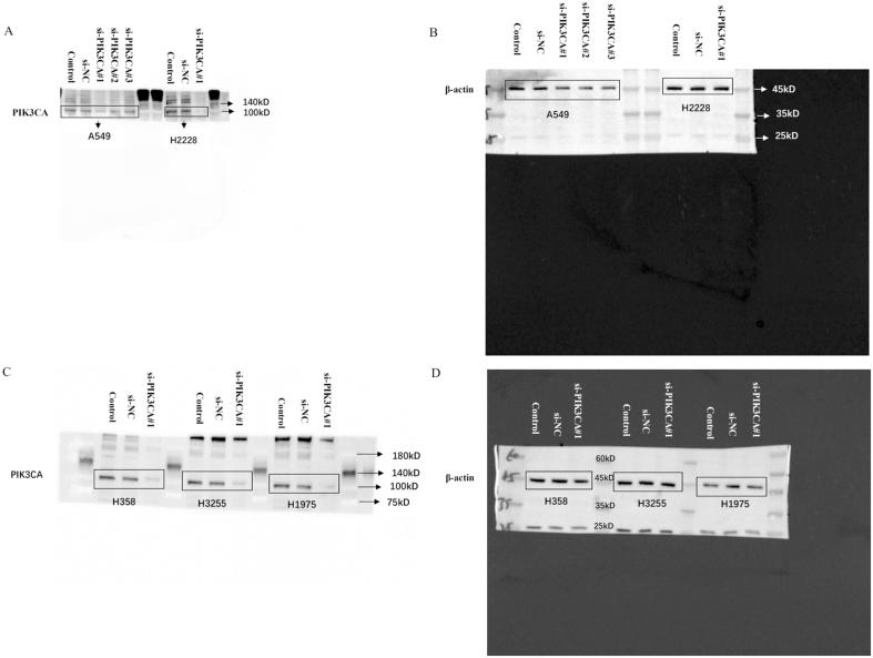 https://cdn.ncbi.nlm.nih.gov/pmc/blobs/df4d/11277437/0cb1f96d9f70/mmcfigs1.jpg