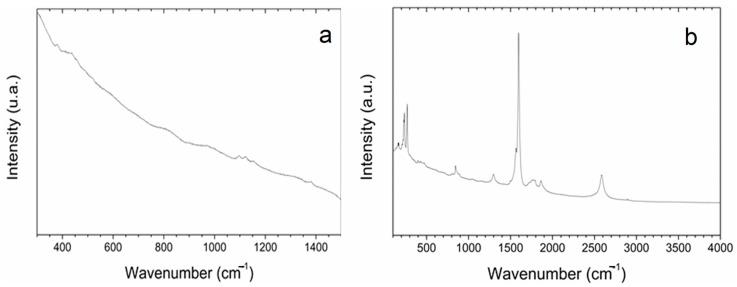 https://cdn.ncbi.nlm.nih.gov/pmc/blobs/df4e/11276944/70a08c2ff8a3/ijms-25-07901-g004.jpg
