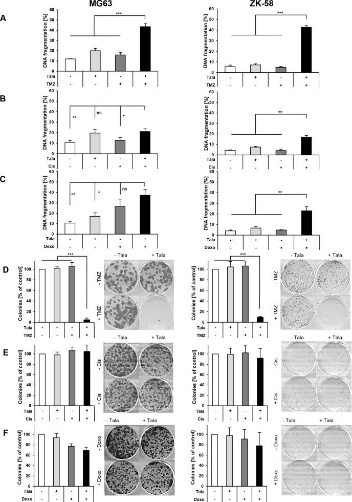https://cdn.ncbi.nlm.nih.gov/pmc/blobs/df4e/5564725/0ebc059d1143/oncotarget-08-48794-g004.jpg