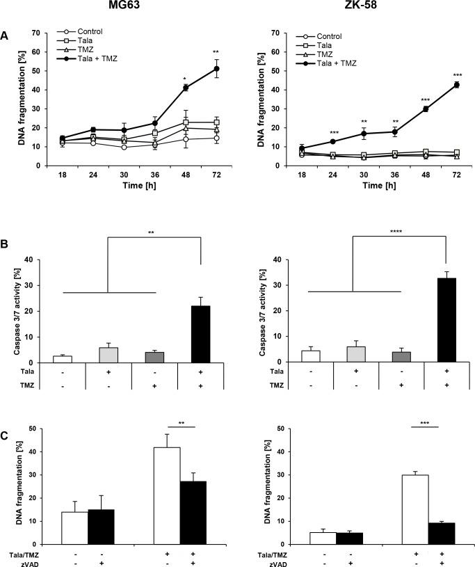 https://cdn.ncbi.nlm.nih.gov/pmc/blobs/df4e/5564725/f3976f8a4e16/oncotarget-08-48794-g005.jpg