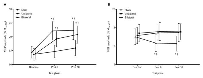 https://cdn.ncbi.nlm.nih.gov/pmc/blobs/df52/3854104/302ded091533/fnagi-05-00087-g003.jpg