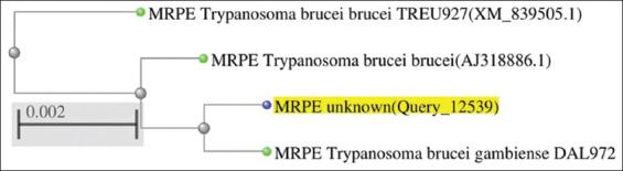 https://cdn.ncbi.nlm.nih.gov/pmc/blobs/df53/7896887/043350bef1e2/Vetworld-14-33-g001.jpg